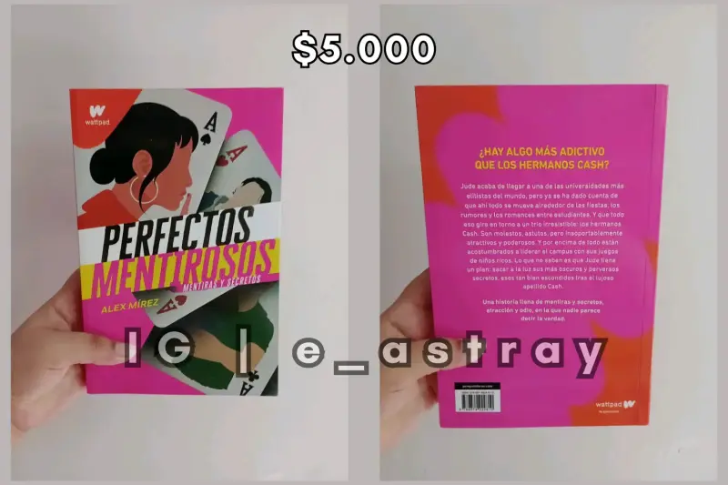 Libro Perfectos Mentirosos 1