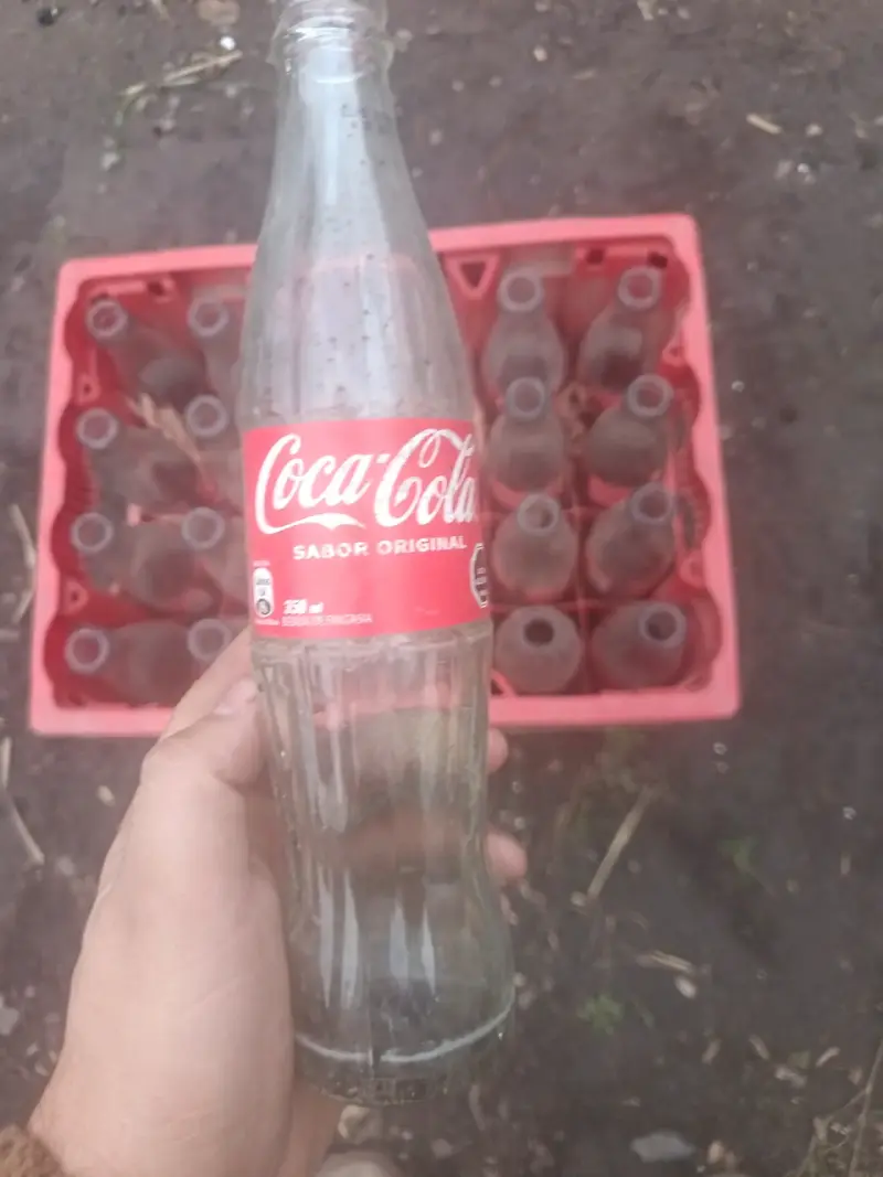 Caja de botellas de vidrio vacías - 2