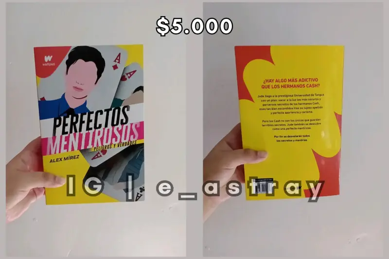 Libro Perfectos Mentirosos 2