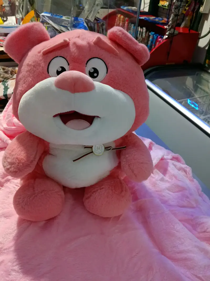 Peluche oso rosado con manta - 2