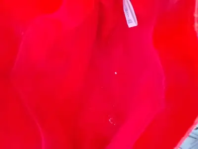 Bolso rojo y celeste deportivo - miniatura 2