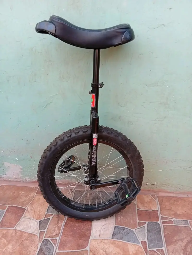 Monociclo con neumático grueso - 4