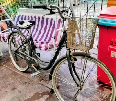 Bicicleta urbana con canasto - miniatura 1