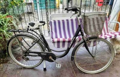 Bicicleta urbana con canasto - miniatura 2