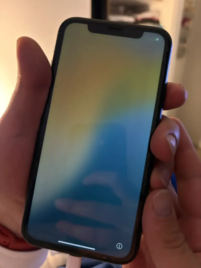 iPhone 11 - 5