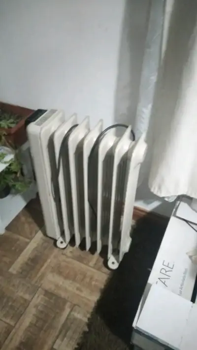 Calefactor eléctrico tipo radiador - miniatura 1