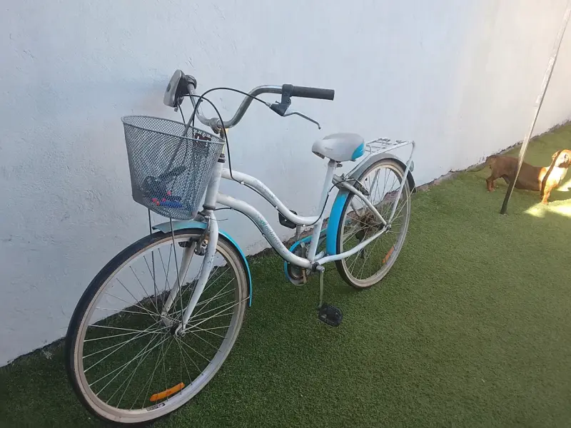 Bicicleta de paseo blanca y azul - 2