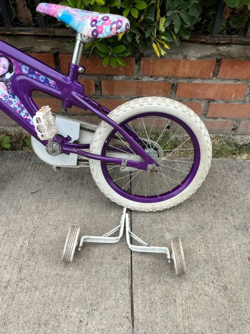 Bicicleta infantil Violeta Frozen - 2