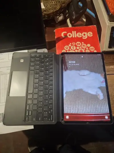 Galaxy tab s7 con el lápiz original - miniatura 2