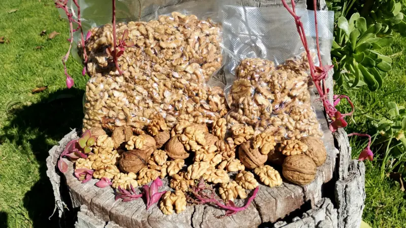 Nueces organicas - 4
