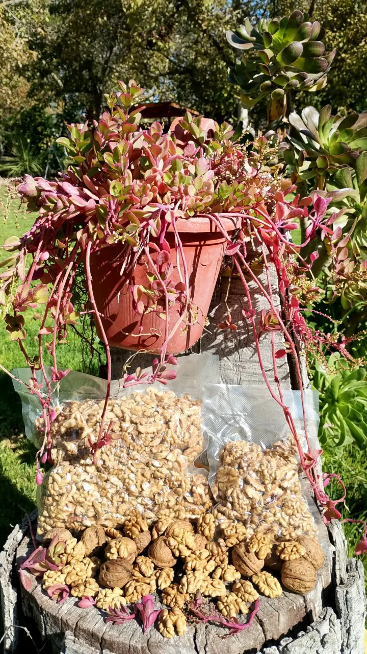 Nueces organicas - 5