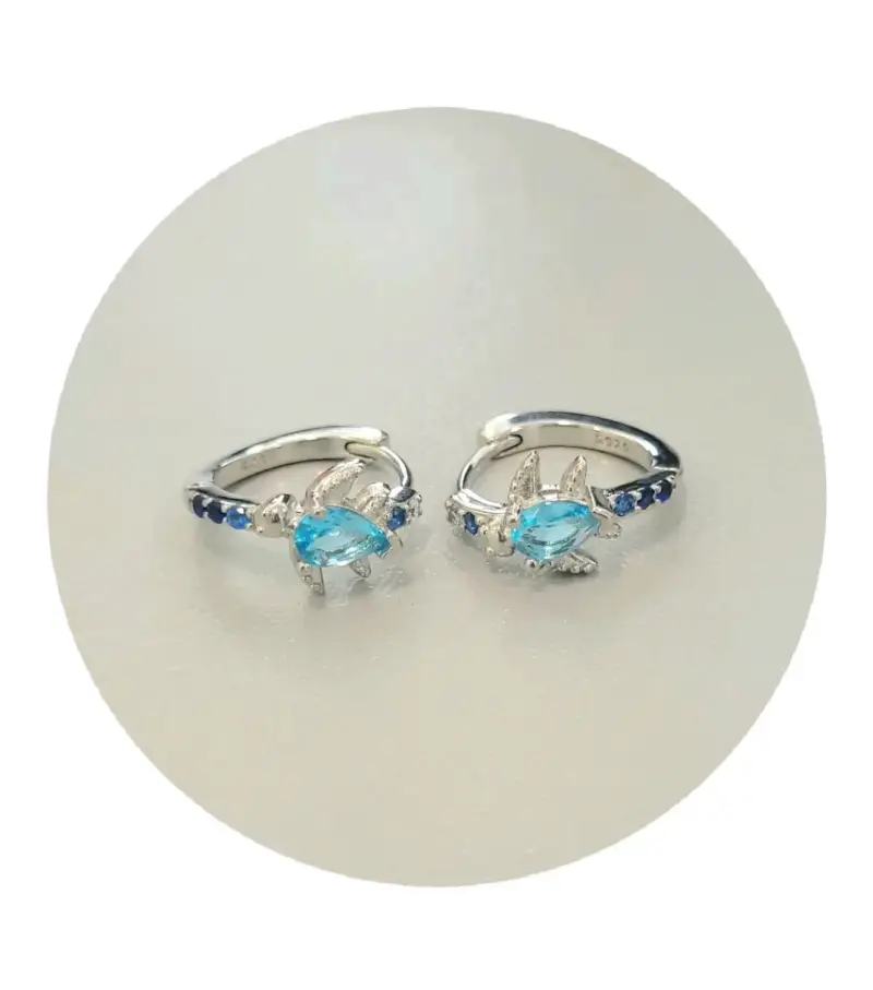 Aros plata esterlina 925 - 2