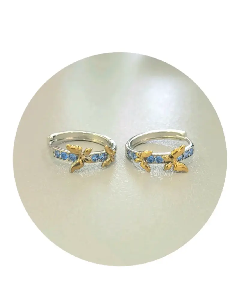 Aros plata esterlina 925 - 6