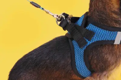 Arnés malla azul para perro - miniatura 3