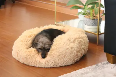 Cama redonda 60cm para mascotas beige - miniatura 2