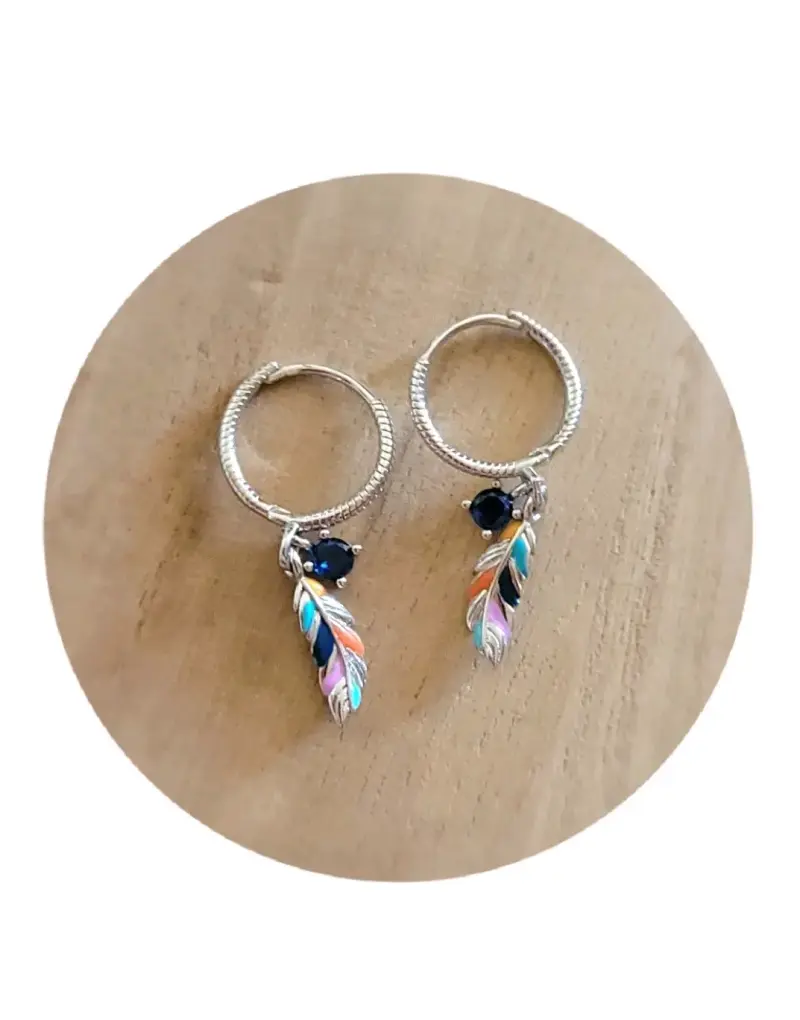 Aros plata esterlina 925 - 2