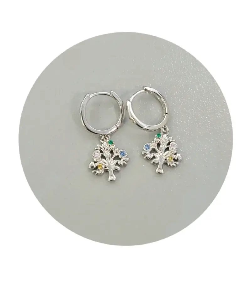 Aros plata esterlina 925 - 6