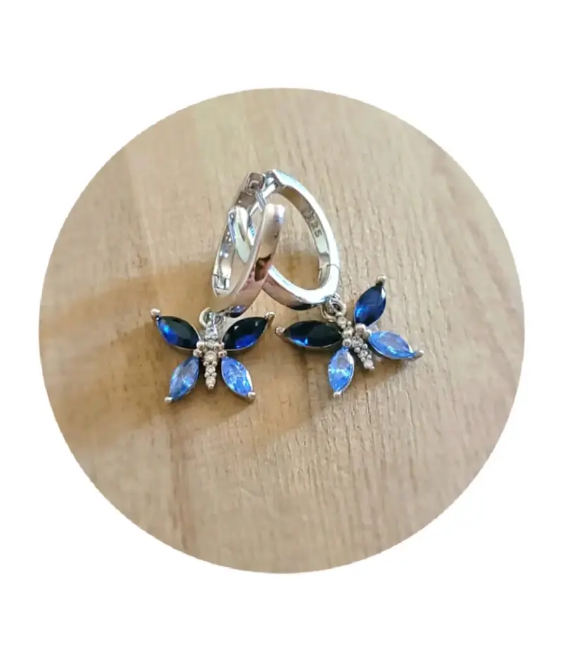 Aros plata esterlina 925 - 4