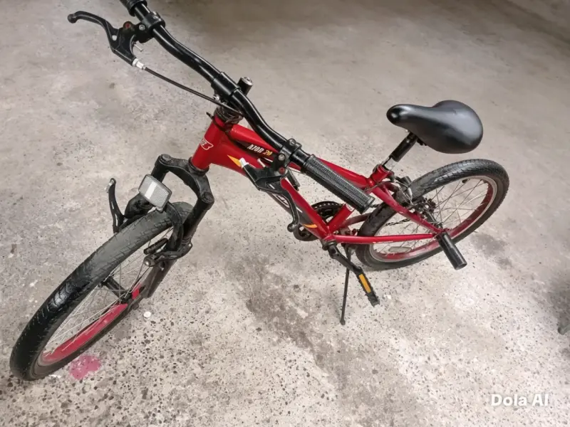 Bicicleta roja - 2