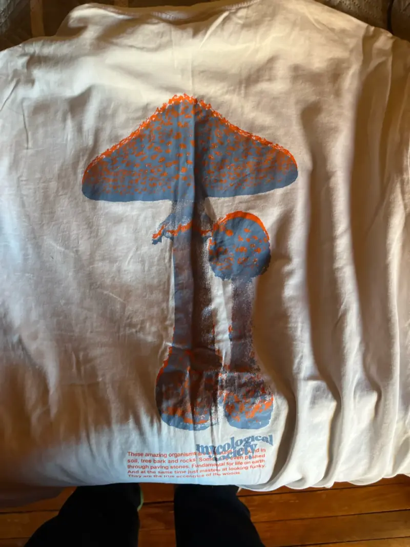 Polera blanca H&M talla L - 4