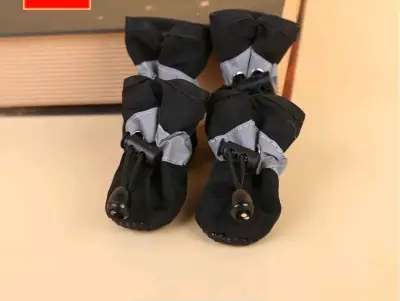 Zapatos Mascotas🦮🐕‍🦺🐕 - miniatura 2
