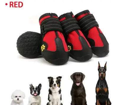Zapatos Mascotas🦮🐕‍🦺🐕 - miniatura 4