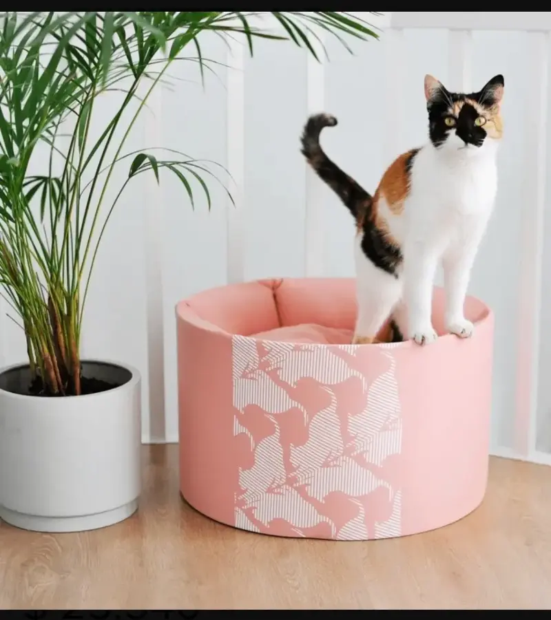 Cama rosada alta para gato - 2