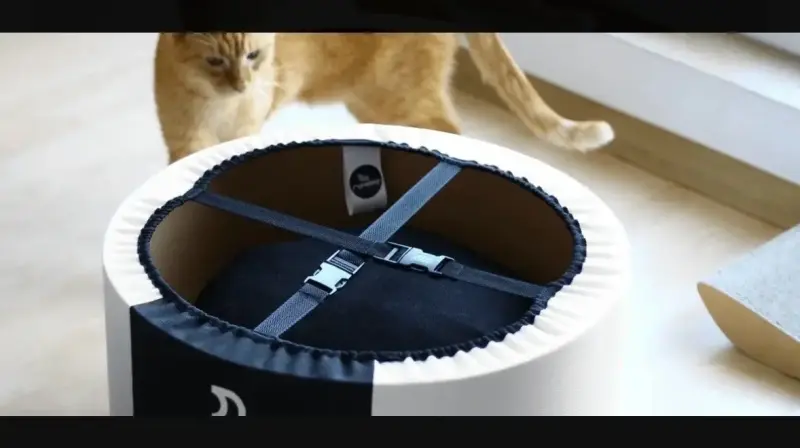 Cama rosada alta para gato - 4