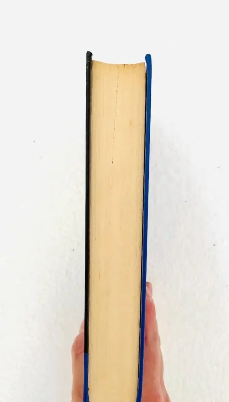 Libro 'Hija de la mentira' Victoria Holt - 3