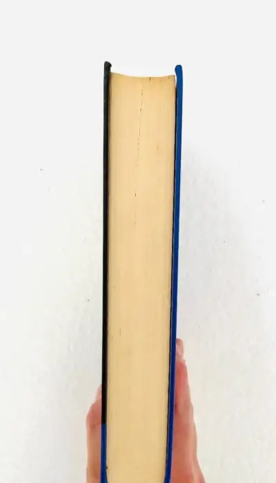 Libro 'Hija de la mentira' Victoria Holt - miniatura 3