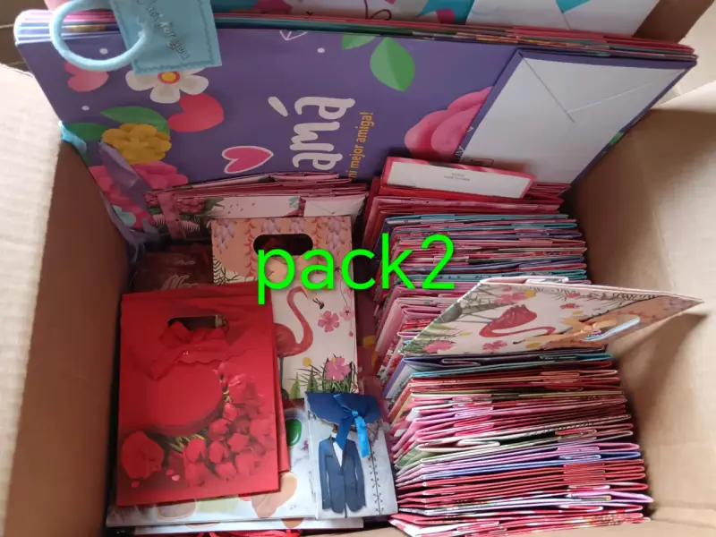 Pack de bolsas de regalo surtidas - 2