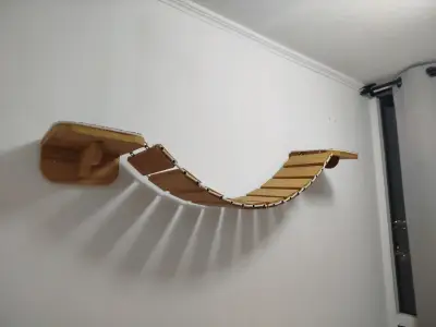 Gimnasio gatitos - miniatura 1