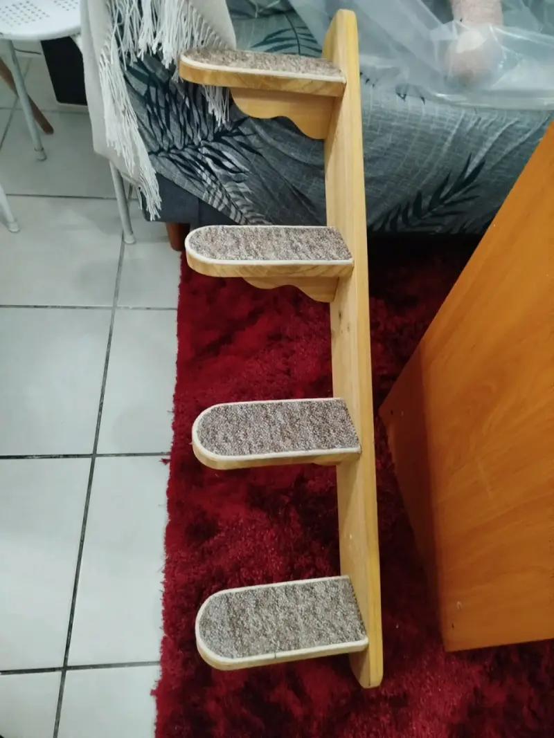 Gimnasio gatitos - 2