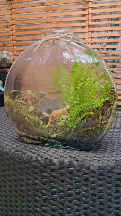Terrario de vidrio redondo - miniatura 5