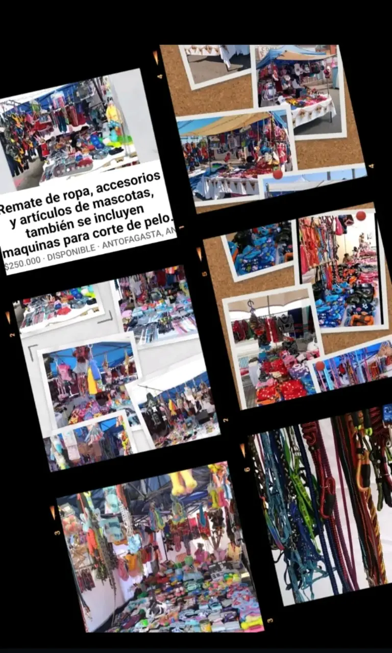 Remate de varios artículos  para mascotas. - 6