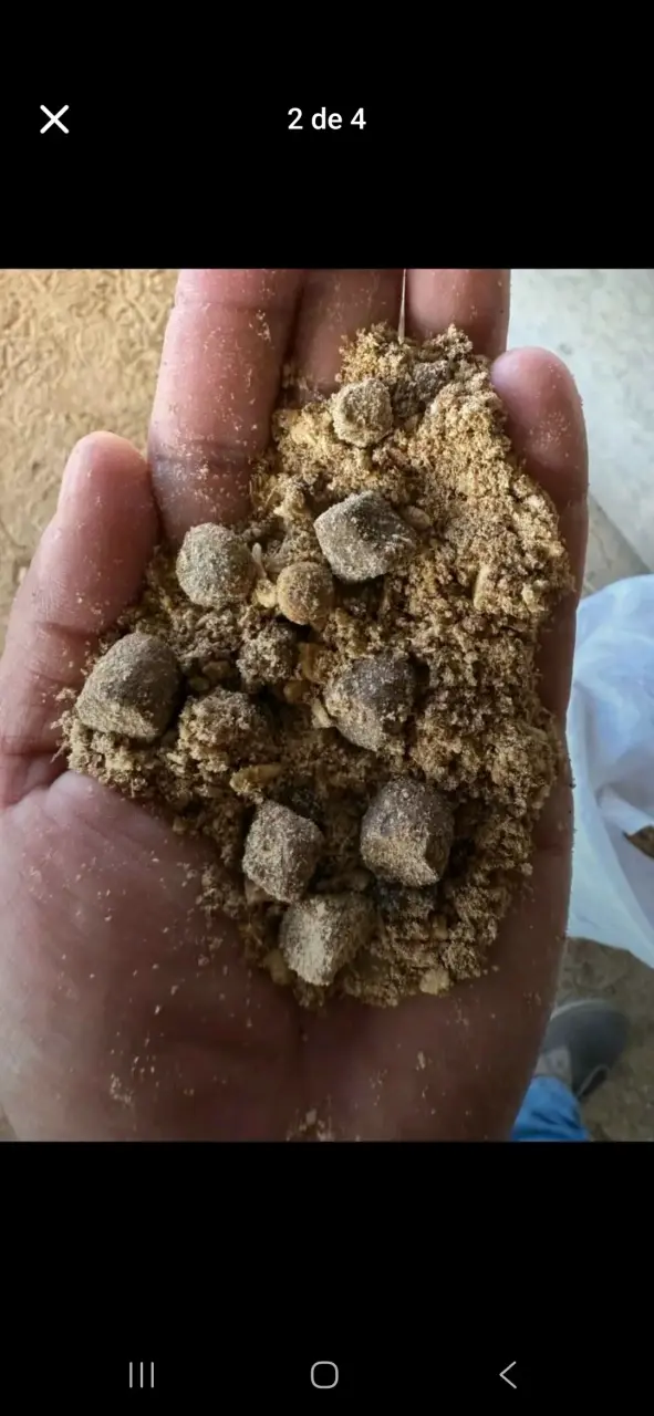 Alimento para perros 25kg - 2