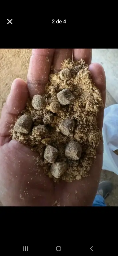Alimento para perros 25kg - miniatura 2