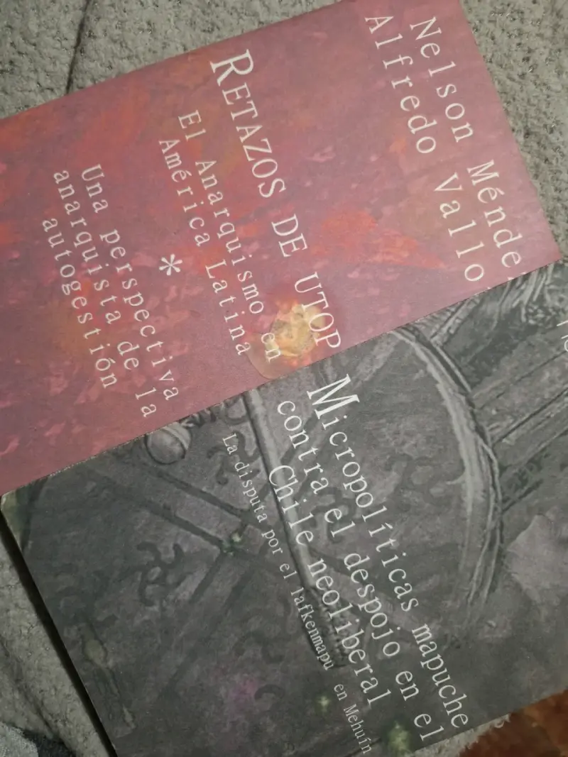 Lote de 2 libros de análisis político mapuche