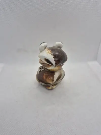 Sapo de canchas marinas - miniatura 6