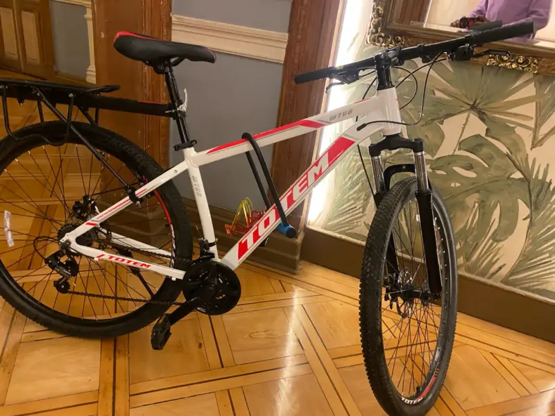 Bicicleta Totem MTB blanca - 2
