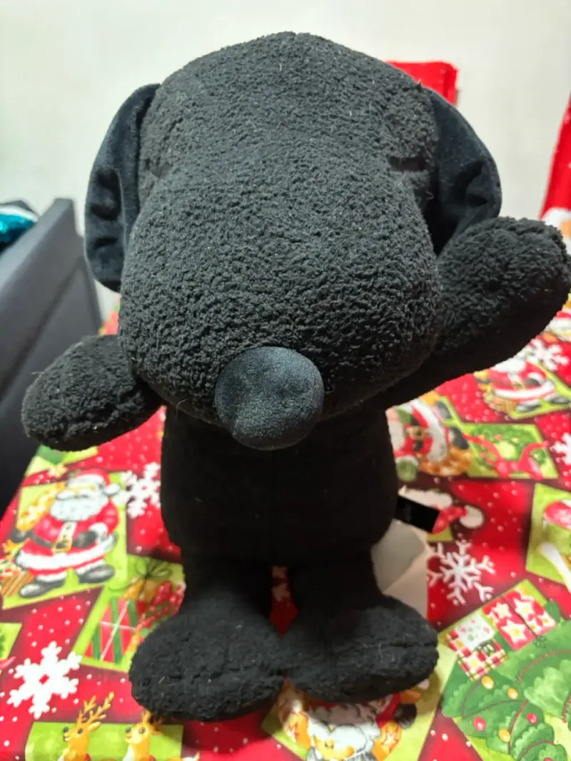 Peluche snoppy  Kaws - 2