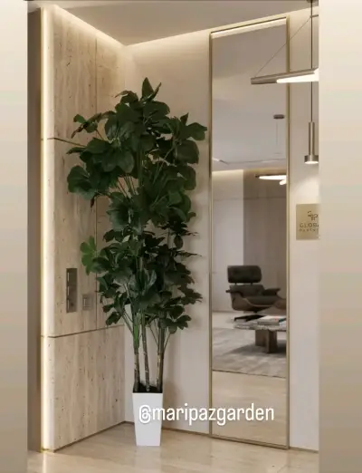 Planta decorativa interior - miniatura 1