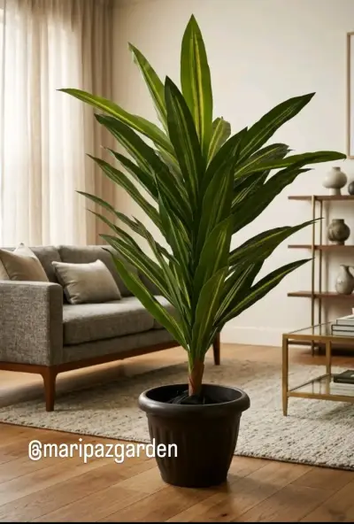 Planta decorativa interior - miniatura 3