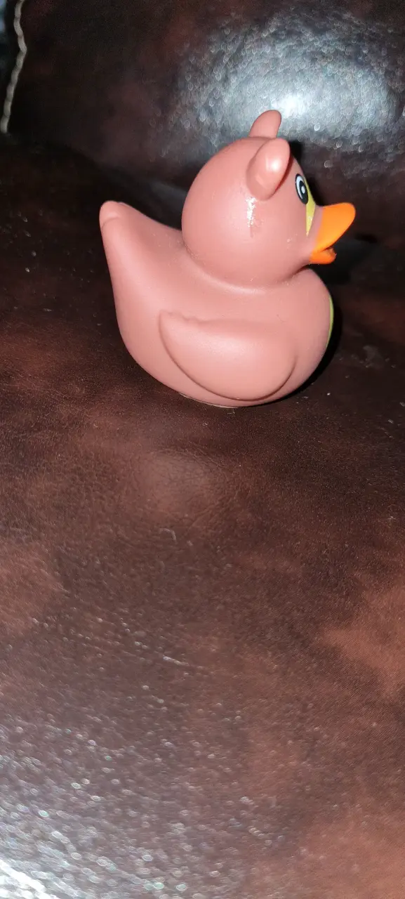 patito de goma - 2