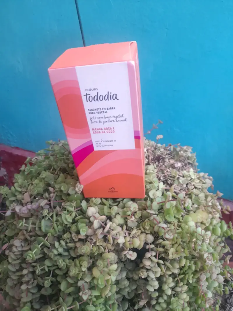 Jabón Natura Tododia vegetal