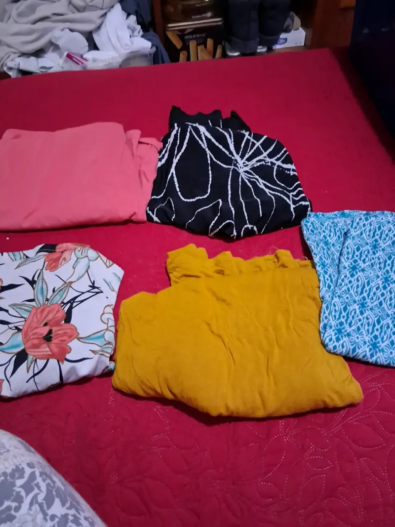 Lote de poleras y blusas variadas