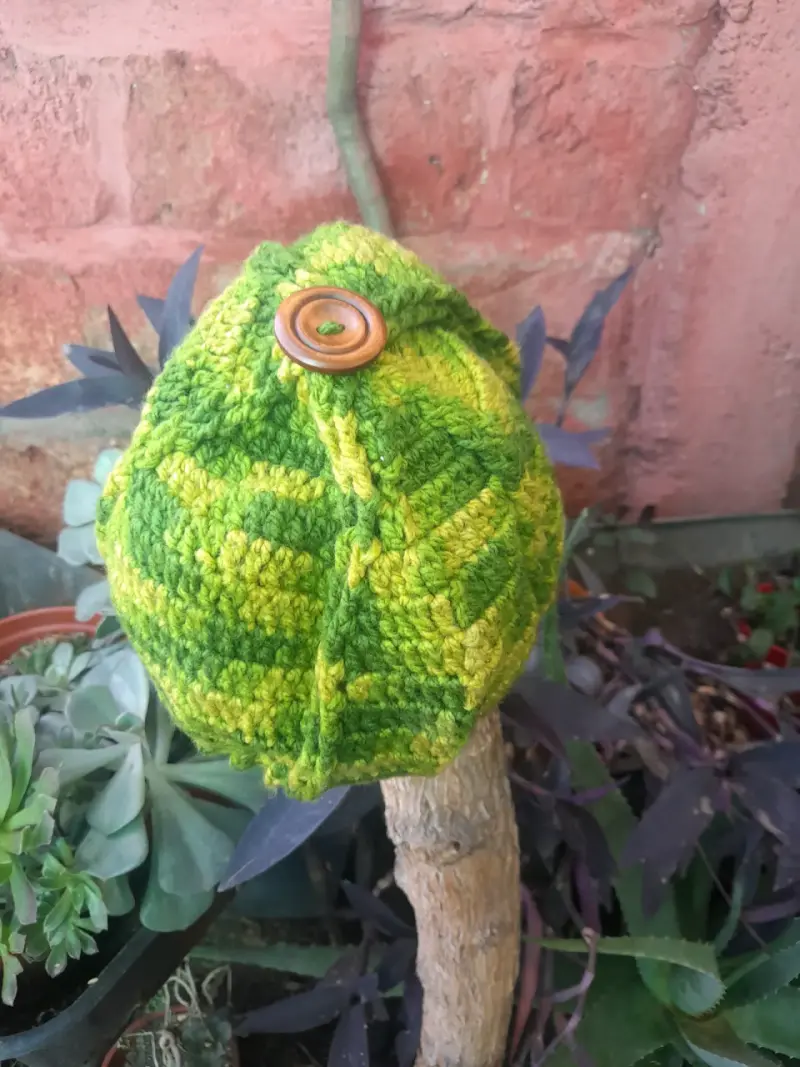 Gorro tejido verde con botón