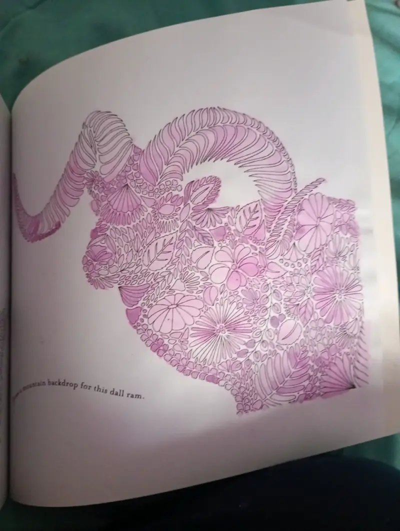 Libro para colorear Animal Kingdom - 4
