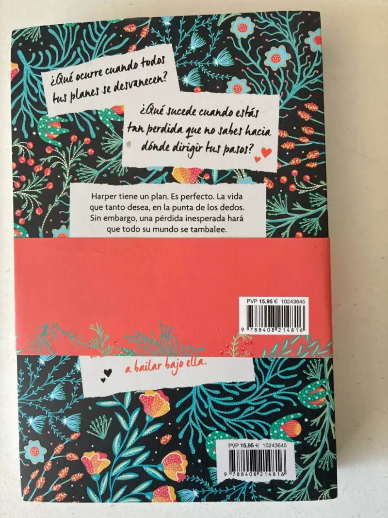 Libro 'Tú y otros desastres' - 2