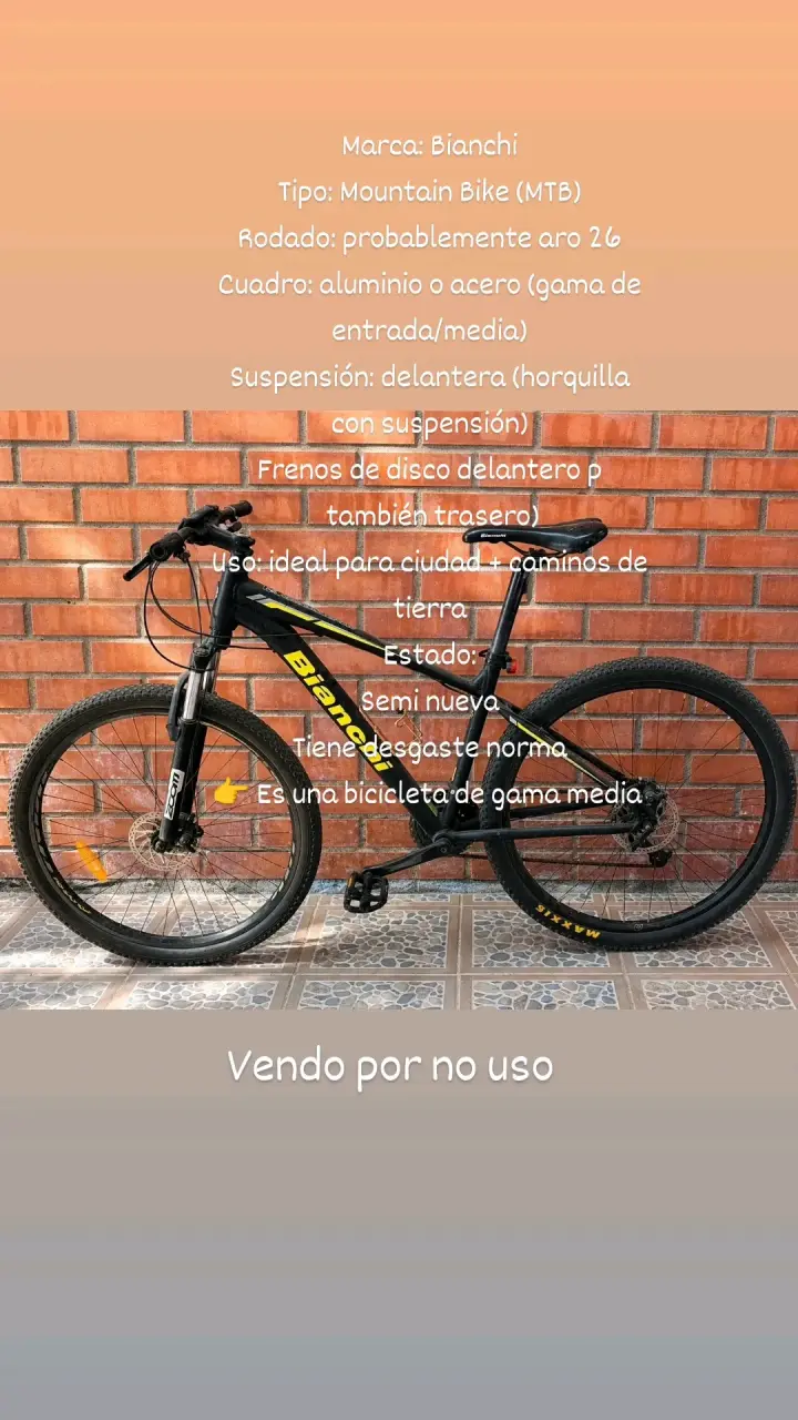 Mountain Bike Bianchi seminueva